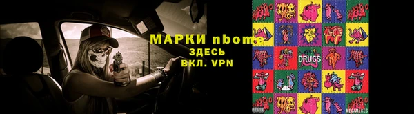 гидра Алексин
