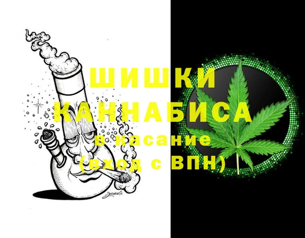 гидра Алексин