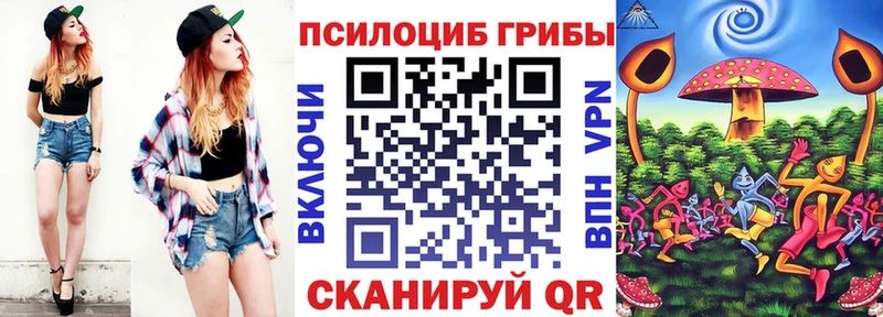 Псилоцибиновые грибы Cubensis  Орёл 